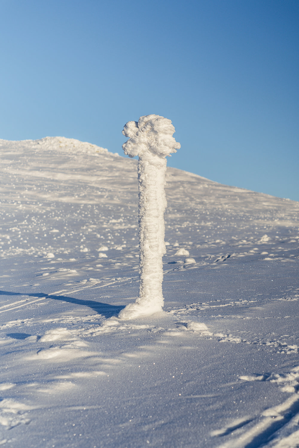 Snöklätt Ledkryss