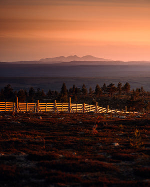 Solnedgång Rendalssölen sommar