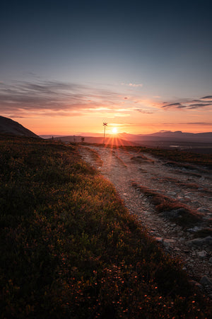 Soluppgång bakom ledkryss