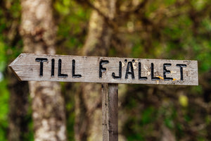 Till fjället sommar