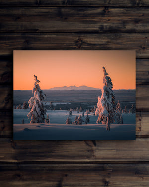 Canvas Två träd Rendalssölen