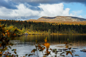 Vacker höst Grövelsjön