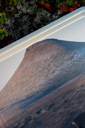 Städjan och renar - Bricka 36x28 cm