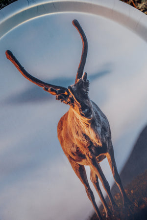 Kvällsren - Bricka 31 cm