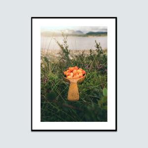 Kåsa full av hjortron