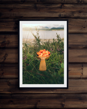 Kåsa full av hjortron