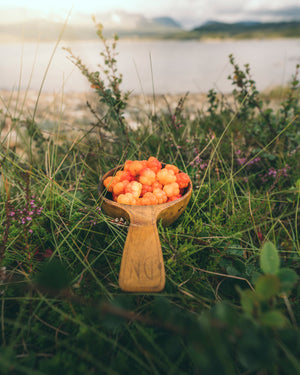 Canvas Kåsa full av hjortron