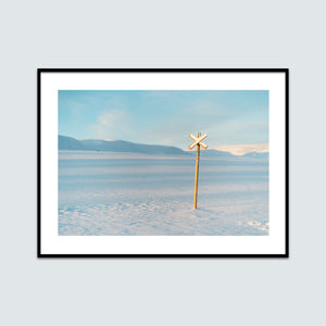 Ledkryss på fjället