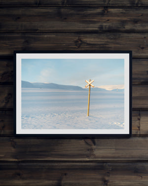 Ledkryss på fjället