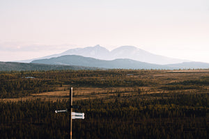 Rendalssölen i kvällsljus
