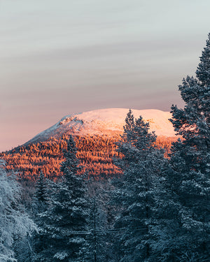Soluppgång Nipfjället