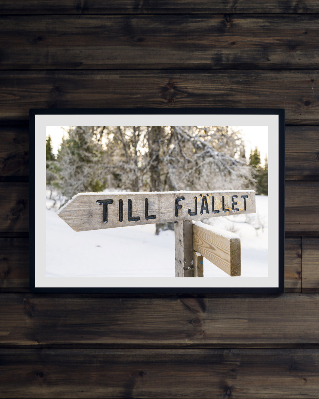 Till fjället