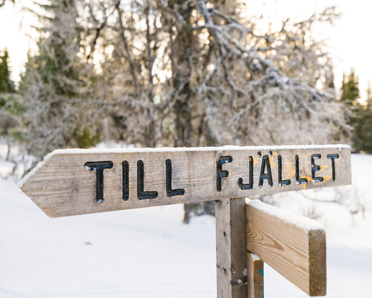 Till fjället