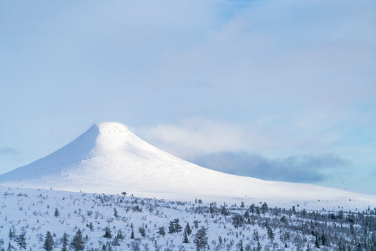 Vinterdag Städjan