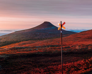 Ett ledkryss och Städjan