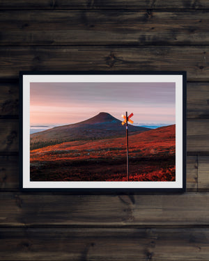 Ett ledkryss och Städjan