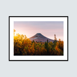 Höst träd soluppgång Städjan