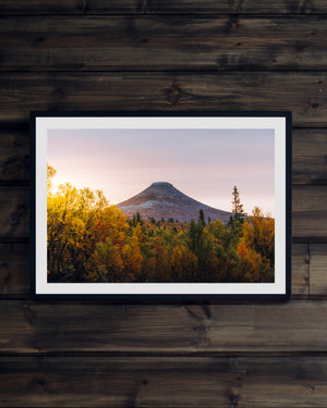 Höst träd soluppgång Städjan