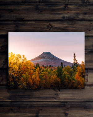 Canvas Höst träd soluppgång Städjan