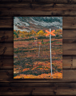 Canvas Höst ledkryss