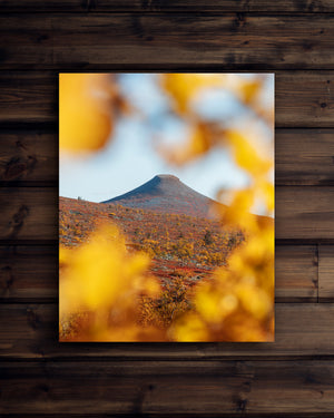 Canvas Höst runt Städjan