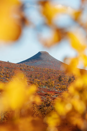 Canvas Höst runt Städjan