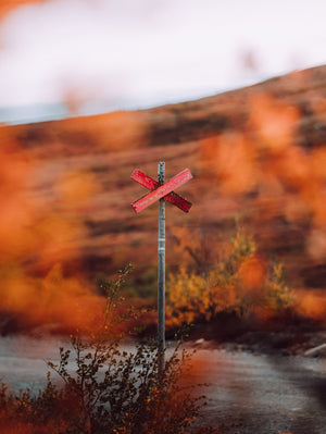 Canvas Höstfärger ledkryss