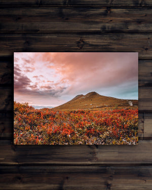 Canvas Höstskrud Städjan