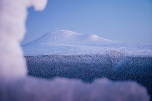 Canvas Inramning Städjan