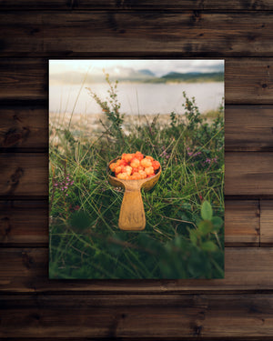 Canvas Kåsa full av hjortron