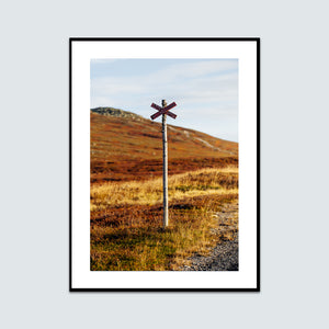 Ledkryss höstfärger lillnipen