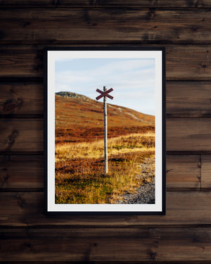 Ledkryss höstfärger lillnipen