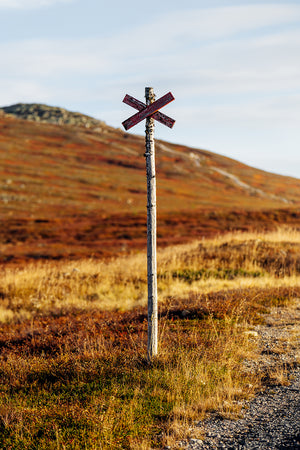 Ledkryss höstfärger lillnipen