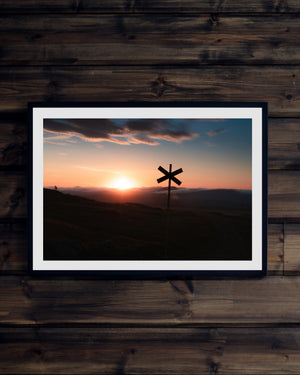 Ledkryss i soluppgång