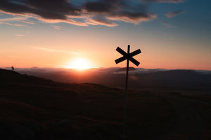 Ledkryss i soluppgång