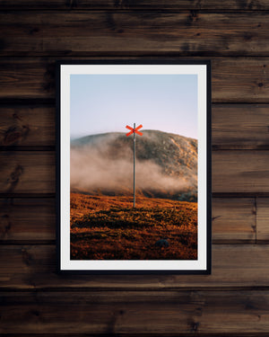 Ledkryss morgondimma