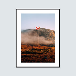 Ledkryss morgondimma