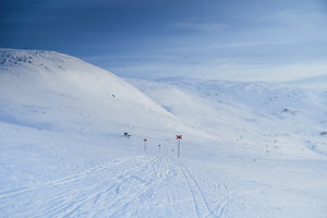 Ledkryss mot Nipfjället