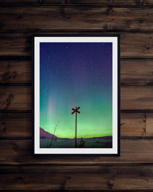 Ledkryss Nipfjället