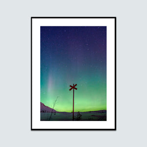 Ledkryss Nipfjället