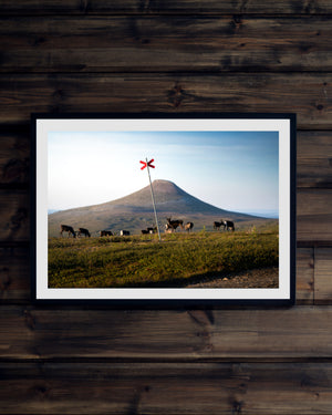 Ledkryss renar Städjan