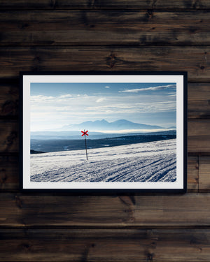 Ledkryss Rendalssölen