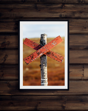 Närbild ledkryss höstfärger