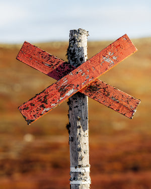 Närbild ledkryss höstfärger