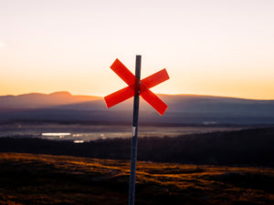 Närbild ledkryss Nipfjället