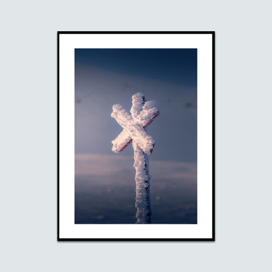 Närbild snöigt ledkryss Nipfjället