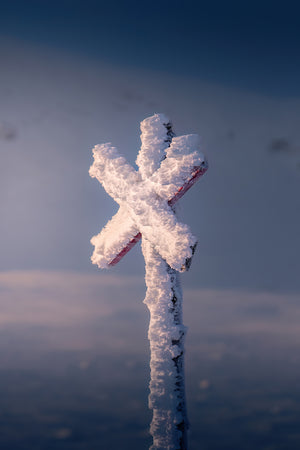 Närbild snöigt ledkryss Nipfjället