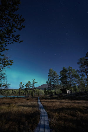 Norrsken Städjan slogbod