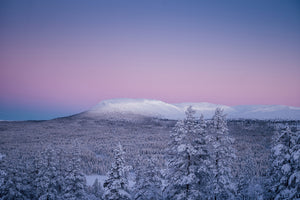 Polarljus Nipfjället