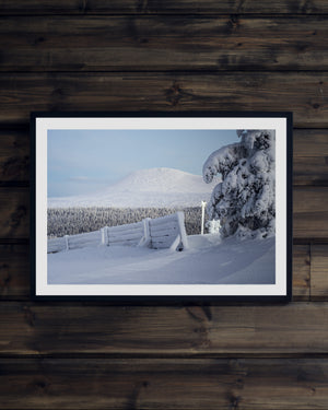 Snötyngda träd och Städjan